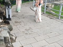-莲湖公园