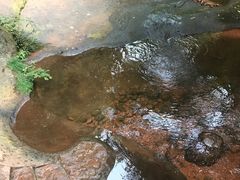 -赤水丹霞旅游区·佛光岩