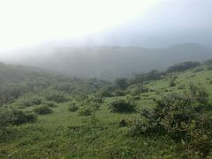 -大姆山草场