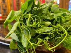 -镇江龙·火锅串串(武侯祠店)