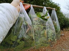 -南京市江宁方山