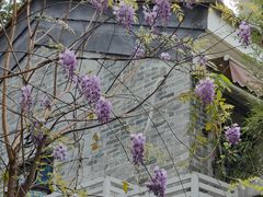 -荔湾湖公园