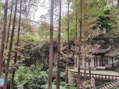 -忠山公园