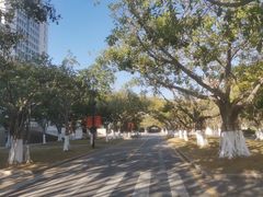 -厦门大学(思明校区)