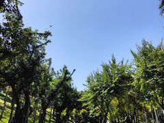 -广州雕塑公园
