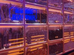 -鱼上·烤鱼(万象城店)