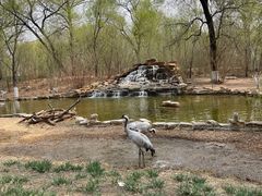 -北京野生动物园