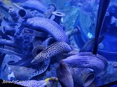 -成都浩海立方海洋公园