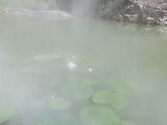 -桑干河大峡谷旅游区