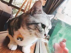 -咖法森林·咖啡  酒吧(天河店)