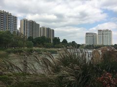 -南翔镇银翔湖公园