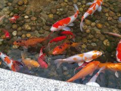 -辽宁省人民医院