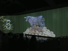 -地球美食剧场