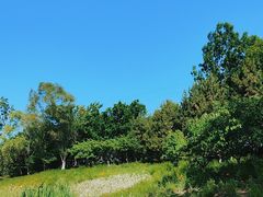-翠湖国家城市湿地公园