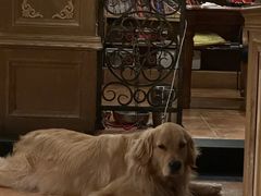 -火车头法国西餐厅