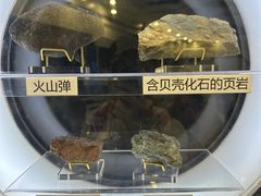-上海儿童博物馆