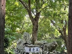 -上海醉白池公园