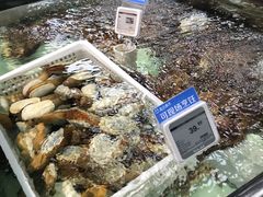 -盒马渔市餐厅