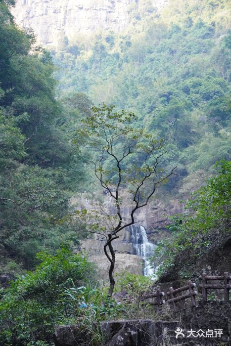 广东大峡谷图片