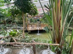 -南宫五洲植物乐园