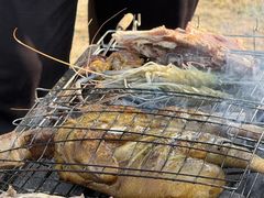 -海南热带雨林国家公园吊罗山景区