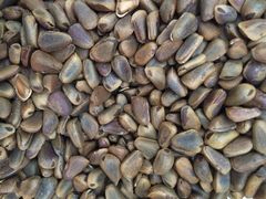 iphone_upload_pic-粒上皇(莲塘聚宝路店)