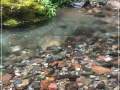 -西岭雪山大飞水景区