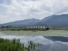 -腾冲北海湿地