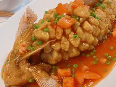 -耕食记 Geng Shi Ji