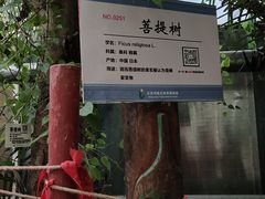 -呀路古热带植物园