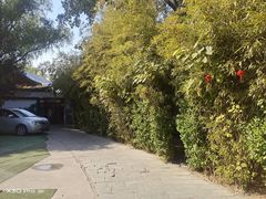 -万柳阁小馆·花园餐厅(龙潭湖店)