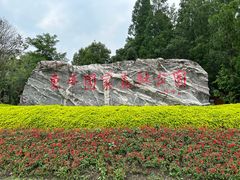 -东平国家森林公园