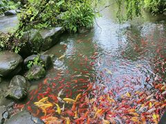 -成都川菜博物馆