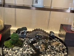 -福州西湖大酒店·怡湖咖啡厅