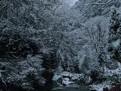 -西岭雪山大飞水景区