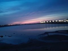 -悦海·家宴·冰花皮皮虾大锅贴(宝龙店)