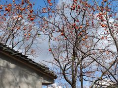 -丹山赤水风景名胜区