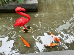 -宝生月子中心·私家园林式(龙华观澜店)
