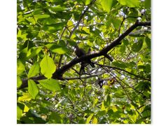 -河南省黄河迎宾馆