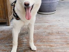 -素心小筑(后沙裕镇店)