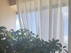 -鼎好家常菜(天桥店)