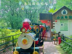 -上海共青森林公园