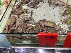 -渔傅·蓝海岸霞浦海鲜(正祥店)