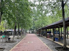 -杨柳青庄园
