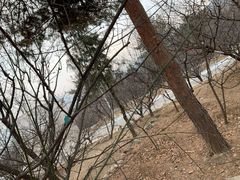 -北京鹫峰国家森林公园