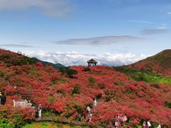 -大围山国家森林公园
