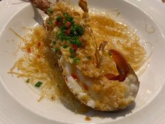 澳洲小青龙-麟1929(外滩店)