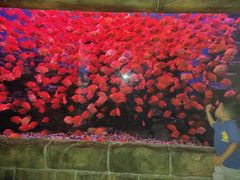 -多彩贵州城极地海洋世界