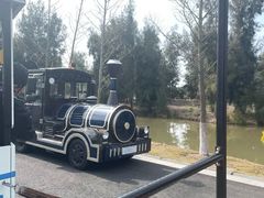 -漩门湾国家湿地公园