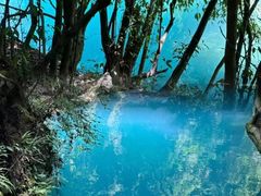 -尧治河旅游度假区